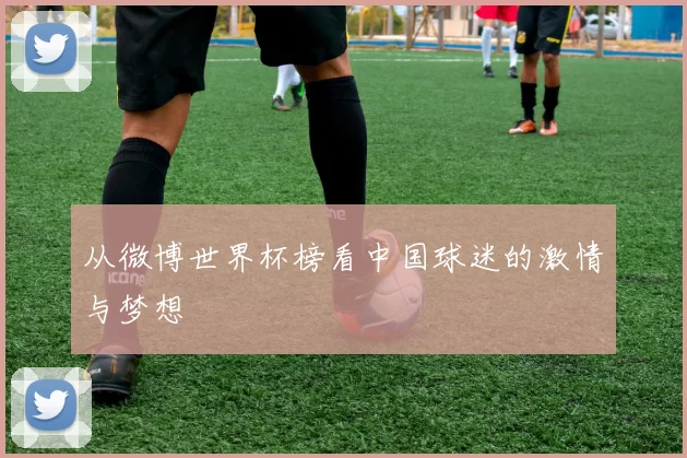 从微博世界杯榜看中国球迷的激情与梦想
