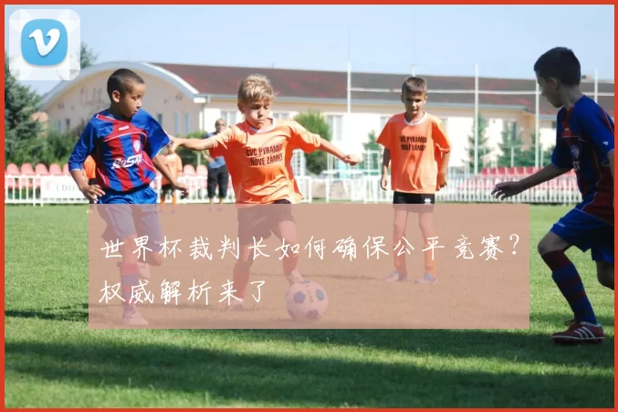 世界杯裁判长如何确保公平竞赛？权威解析来了