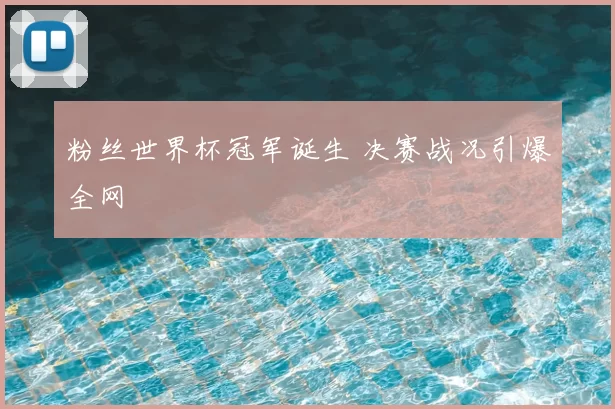 粉丝世界杯冠军诞生 决赛战况引爆全网