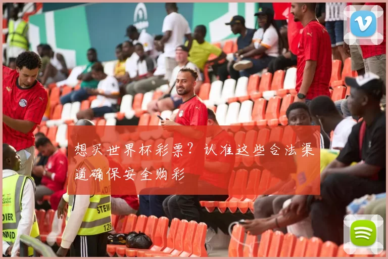 想买世界杯彩票？认准这些合法渠道确保安全购彩