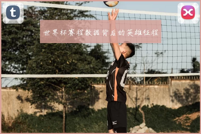 世界杯赛程数据背后的英雄征程