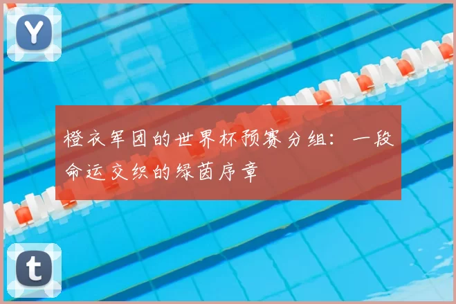 橙衣军团的世界杯预赛分组：一段命运交织的绿茵序章