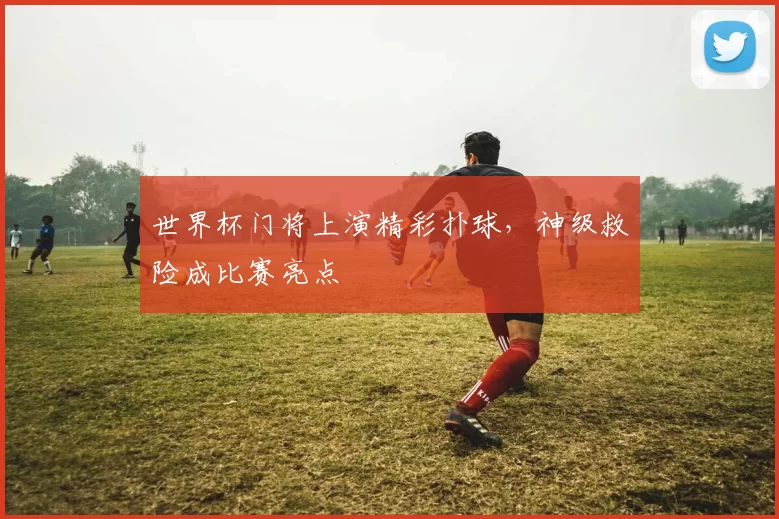 世界杯门将上演精彩扑球，神级救险成比赛亮点