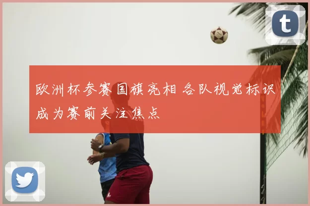 欧洲杯参赛国旗亮相 各队视觉标识成为赛前关注焦点
