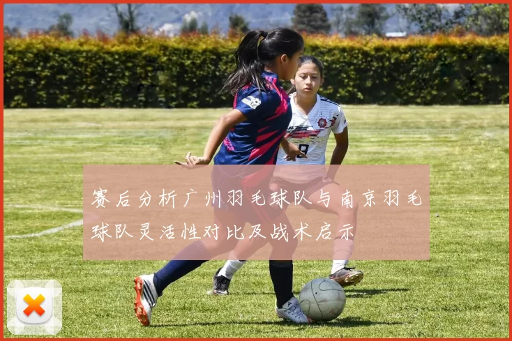 赛后分析广州羽毛球队与南京羽毛球队灵活性对比及战术启示