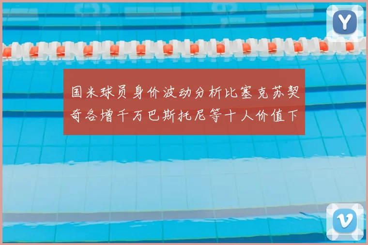 国米球员身价波动分析比塞克苏契奇各增千万巴斯托尼等十人价值下滑