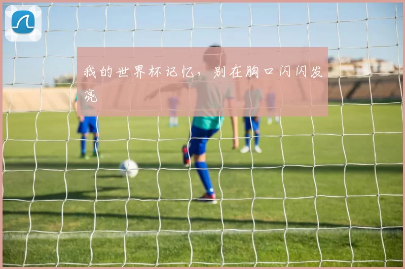 我的世界杯记忆，别在胸口闪闪发亮