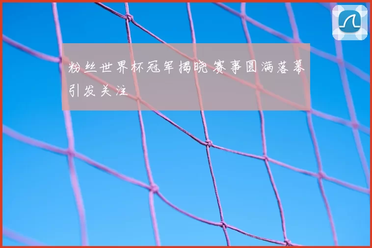 粉丝世界杯冠军揭晓 赛事圆满落幕引发关注
