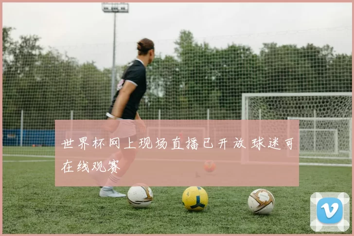 世界杯网上现场直播已开放 球迷可在线观赛