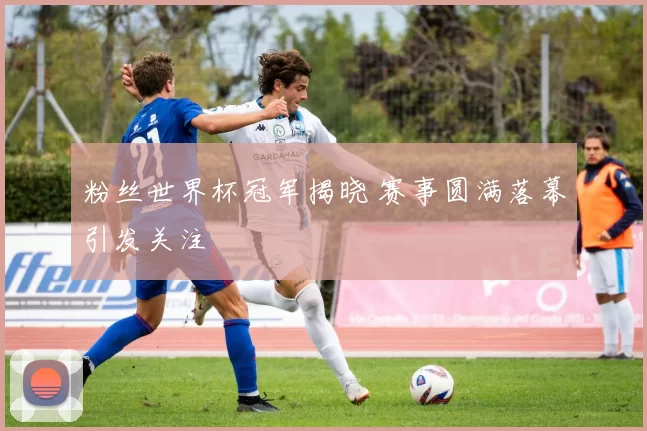 粉丝世界杯冠军揭晓 赛事圆满落幕引发关注